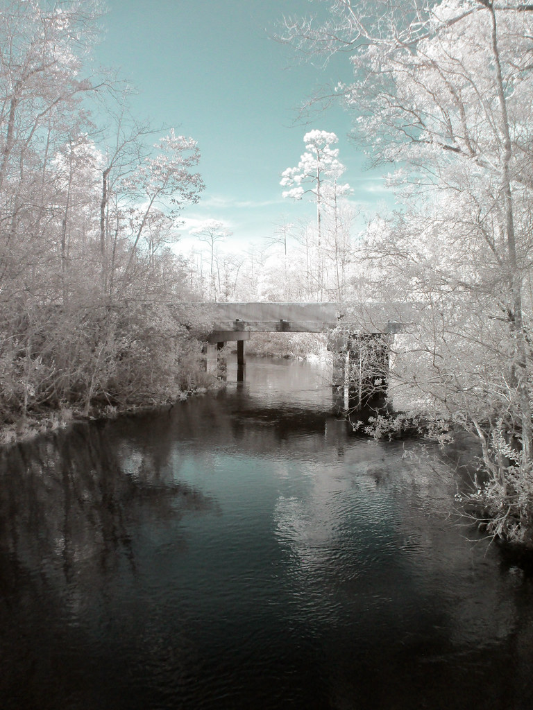 Turkey_Creek_Park_IR_Feb_2023_07 Photos from Turkey Creek … Flickr