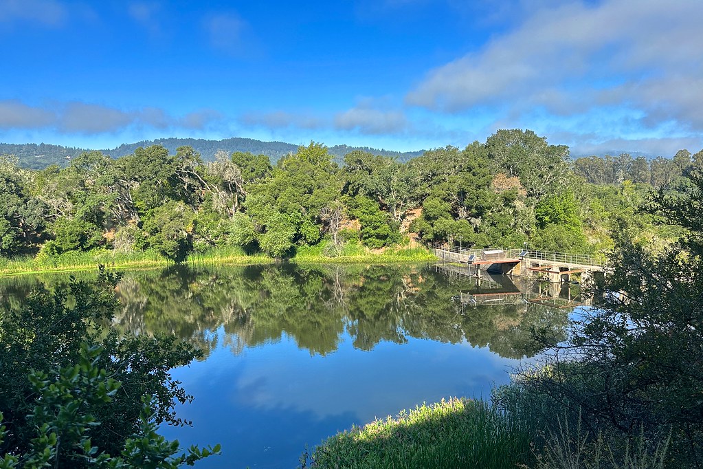 Searsville Lake and dam. Searsville Lake and dam. Flickr