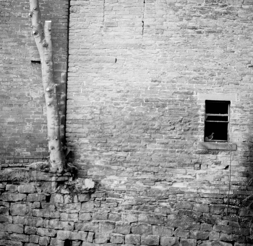 Pigeon Hole Bernd Kügow Flickr
