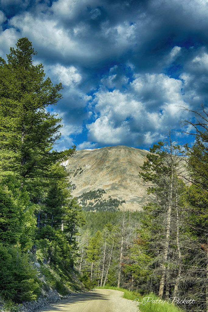 going to Meadow lake above Gilmore Idaho Pattysphotos Flickr