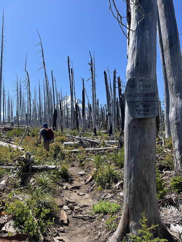 Vista Ridge Trail Just Peachy