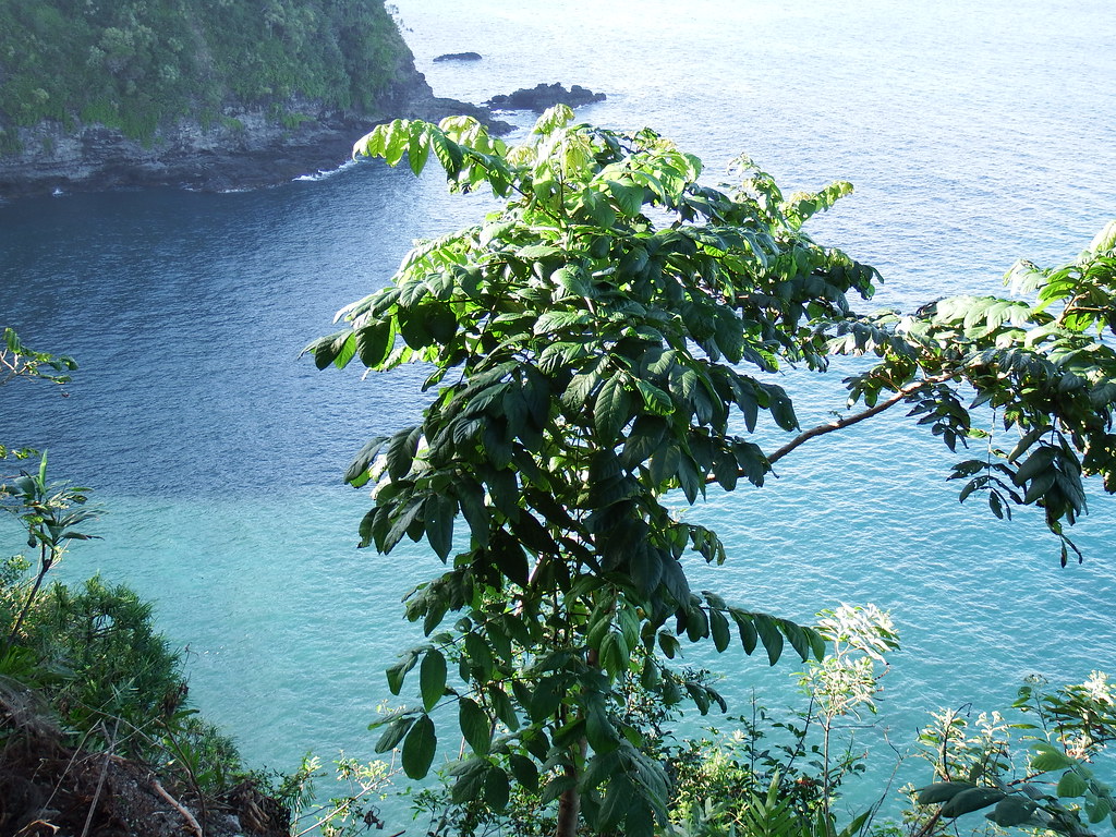 DSCF0220 Paul Clevenger Flickr