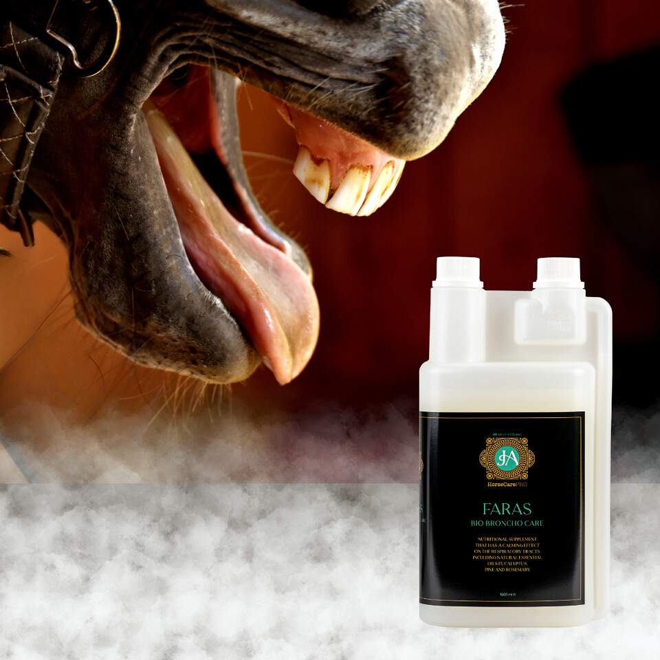 Horse Dry Cough Natural Relief with FARAS BIO BRONCHO CAR… Flickr