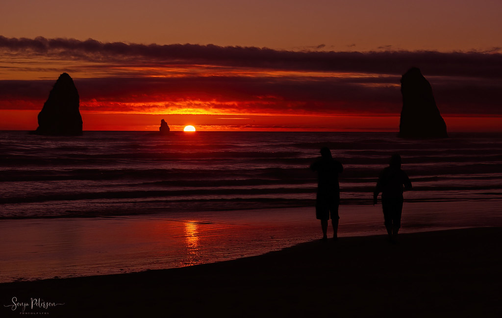 CANNON BEACH SUNSET, Oregon Coast Oregon Coast Cannon Beac… Flickr