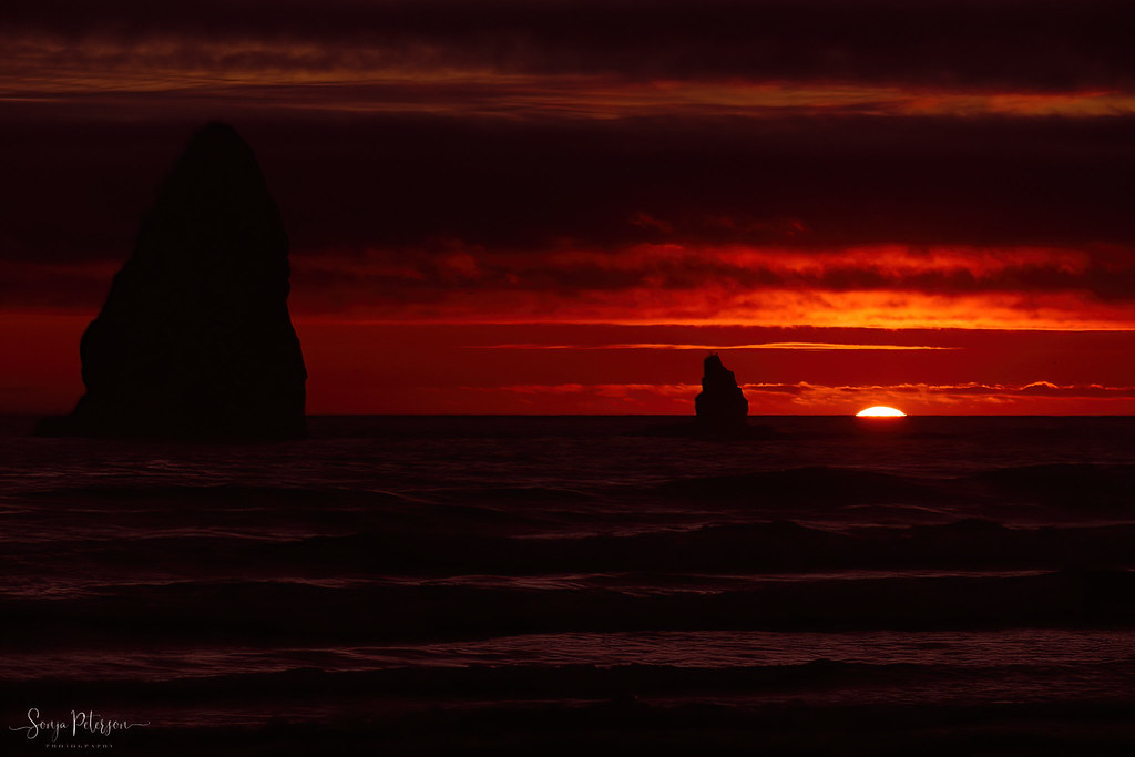 CANNON BEACH SUNSET, Oregon Coast Oregon Coast Cannon Beac… Flickr
