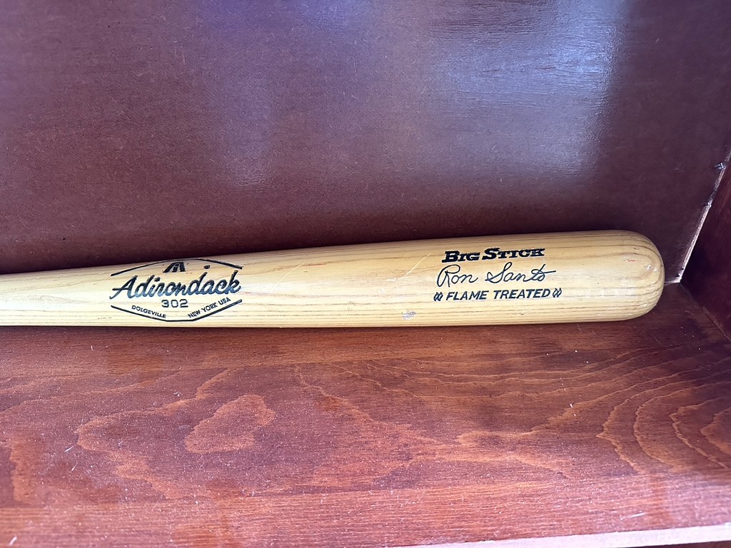 Adirondack Bats Flickr