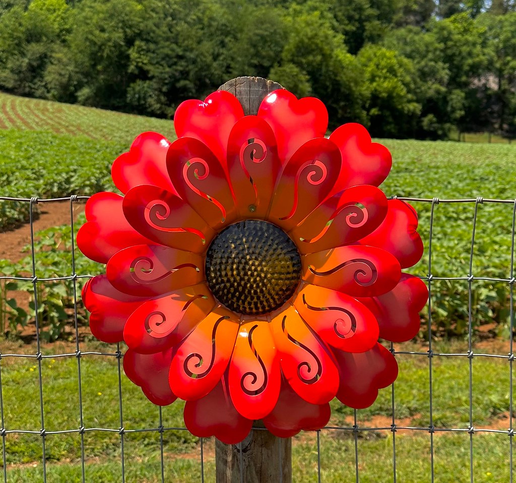  Red Sunflower Decor, On The Fence Post … Flickr