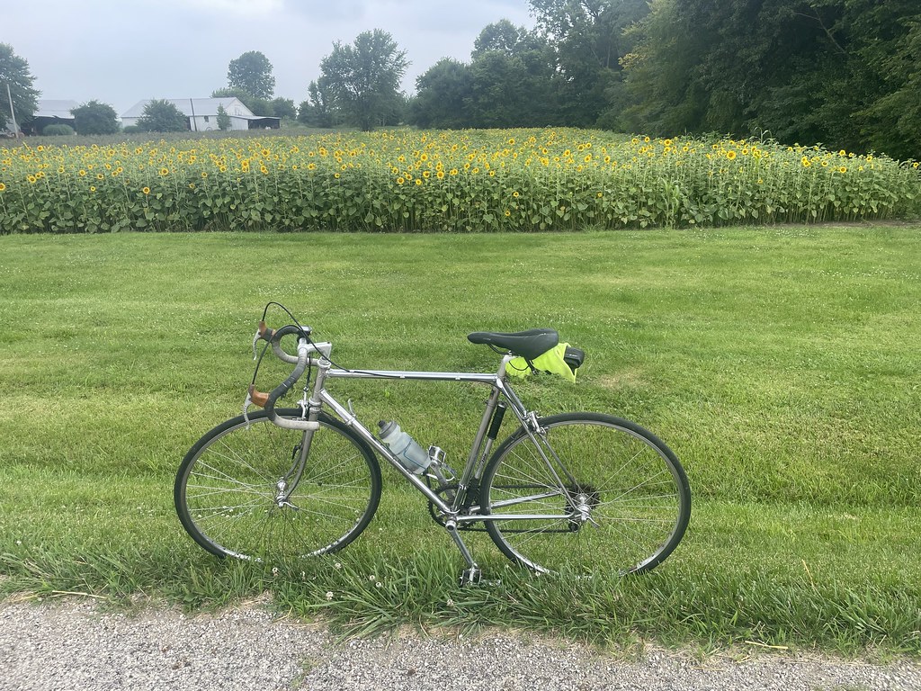 Sunflowers on Westfall Road July 27, 2023 There have been … Flickr