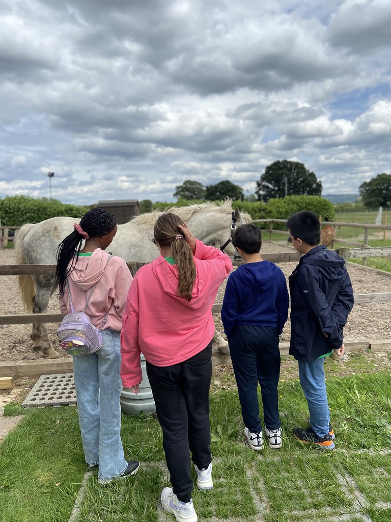 IMG_7352 Malvern Enterprises Flickr