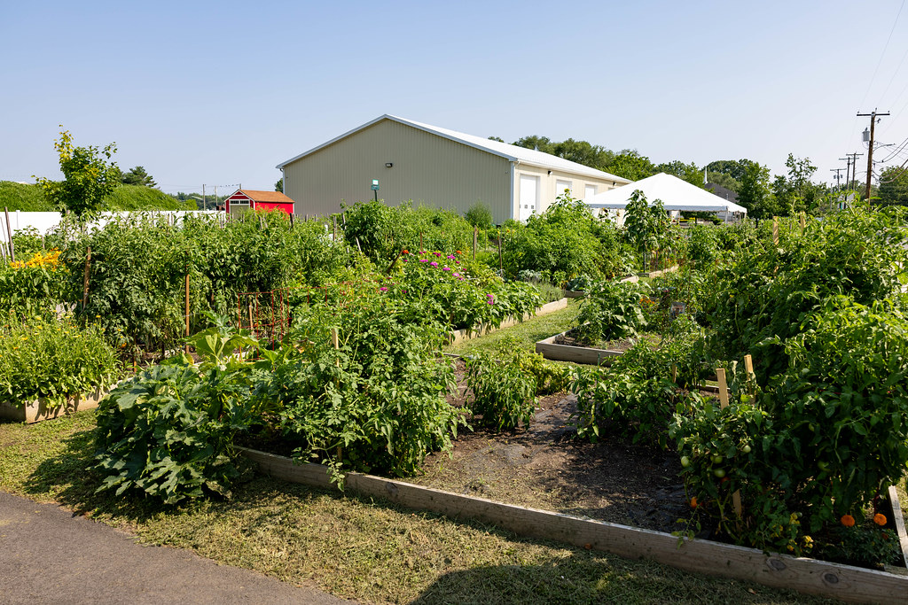 008_MR53642 Borough of Glassboro, New Jersey Flickr