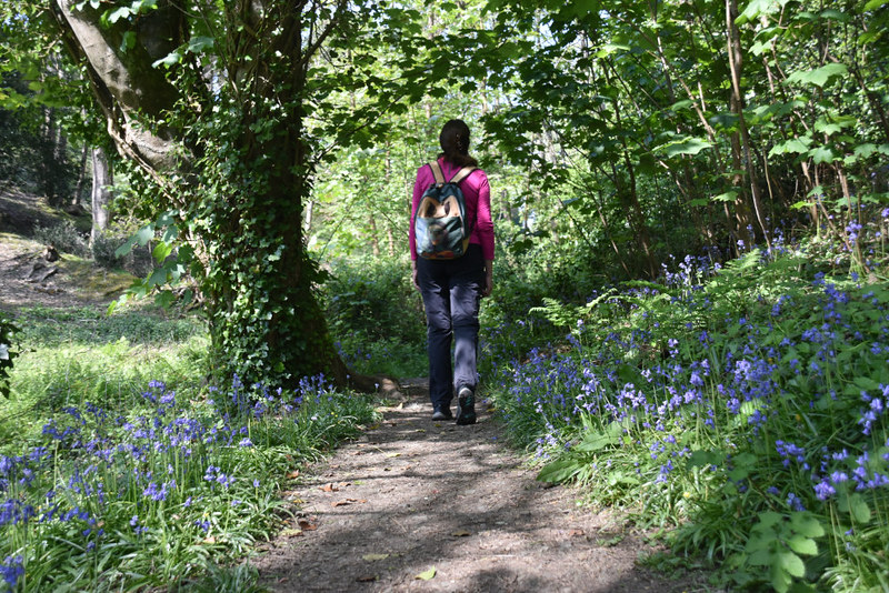 The Joys of a Walking Holiday andrea montgomery