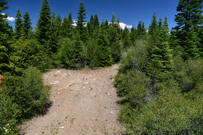 White Point Every Lookout in Oregon
