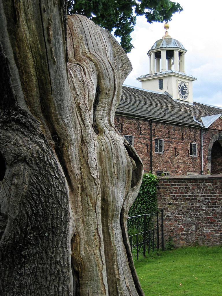 2007 Dunham Massey, cheshire, England. stuzzington botulism Flickr