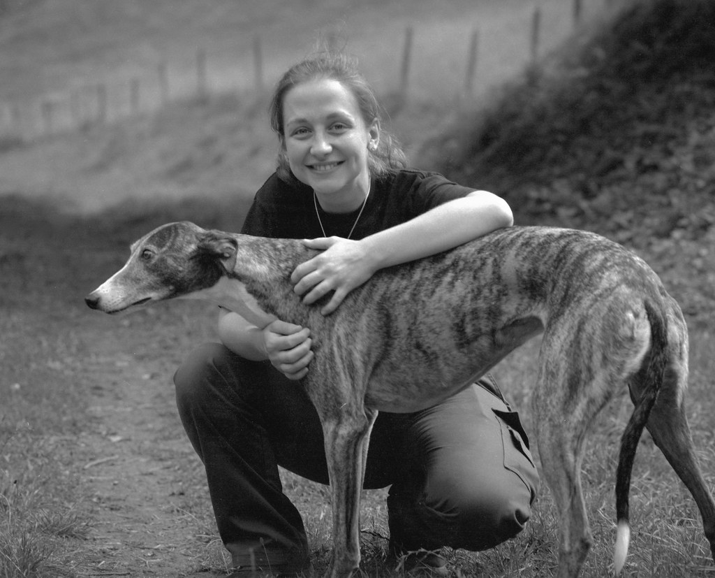 Dogs Pro, 2023 Greyhounds are among the fastest creatures … Flickr