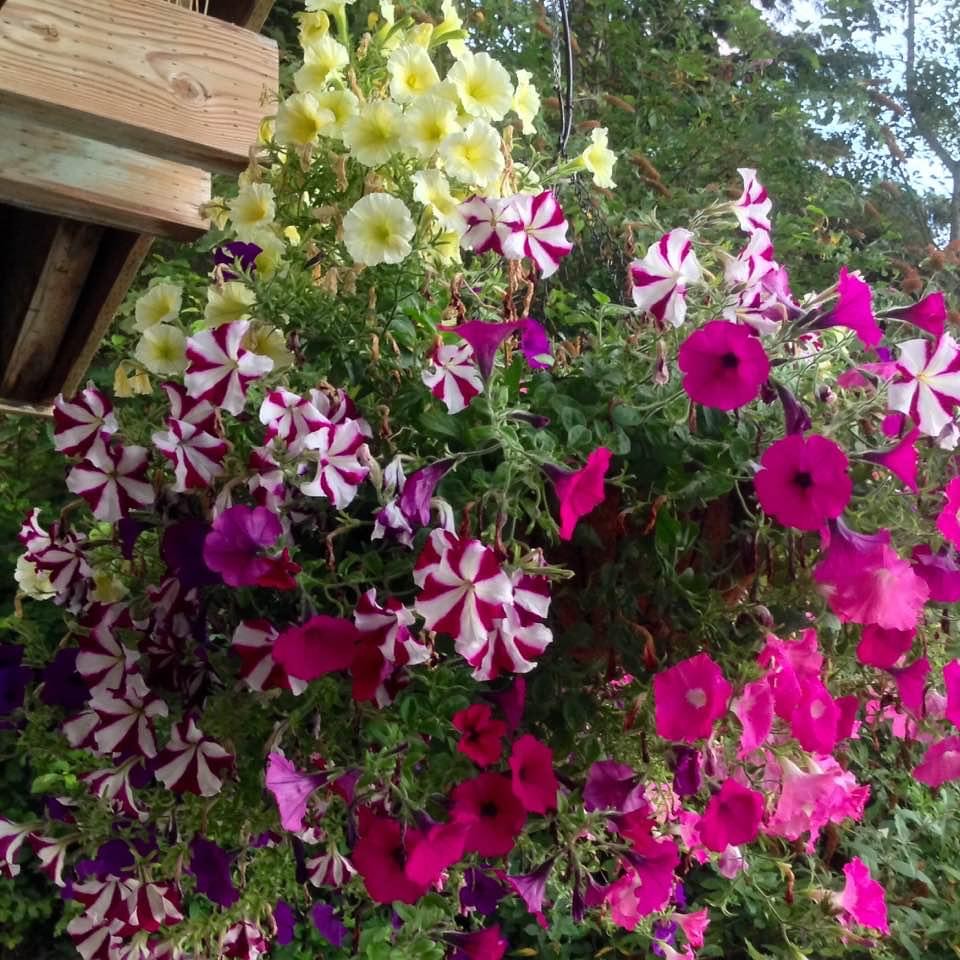 WA Brownsville Marina scott185 (the original) Flickr