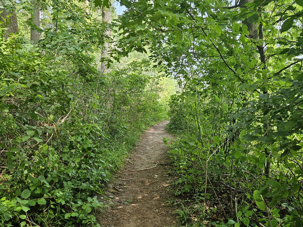 Grant Park South Milwaukee cohodas208c Flickr