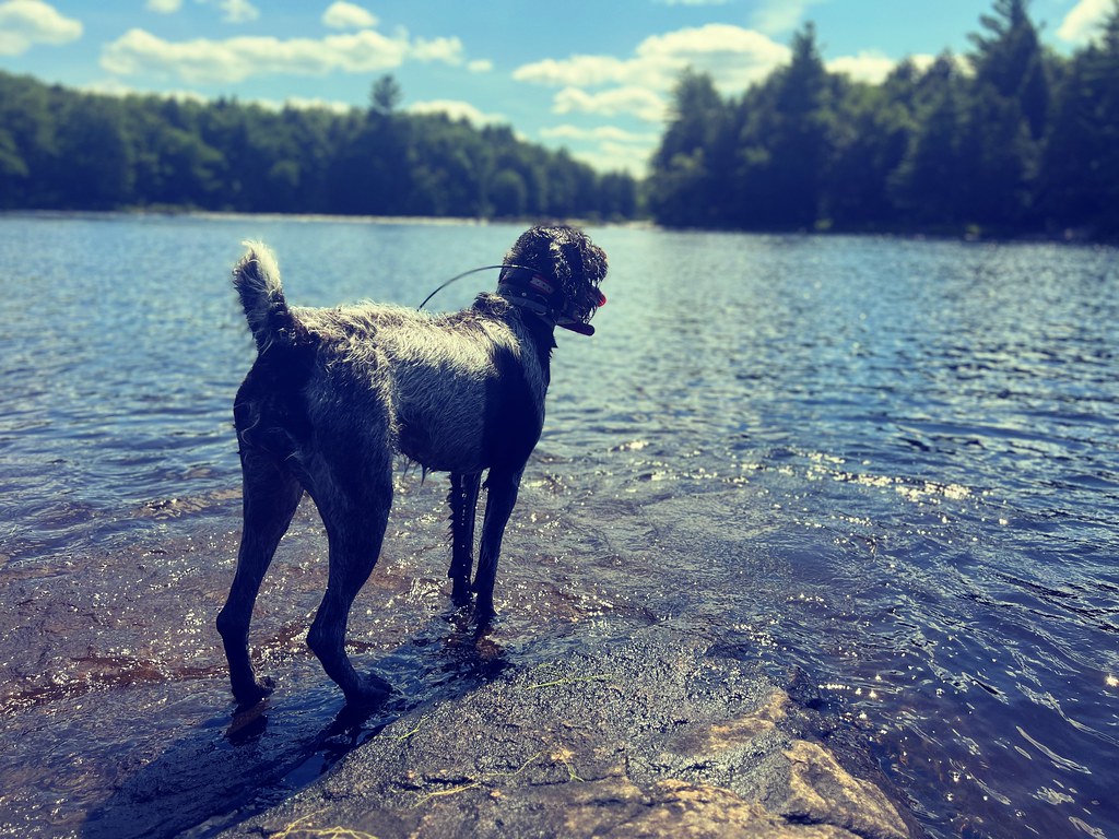 Ember Mountain_Air Flickr