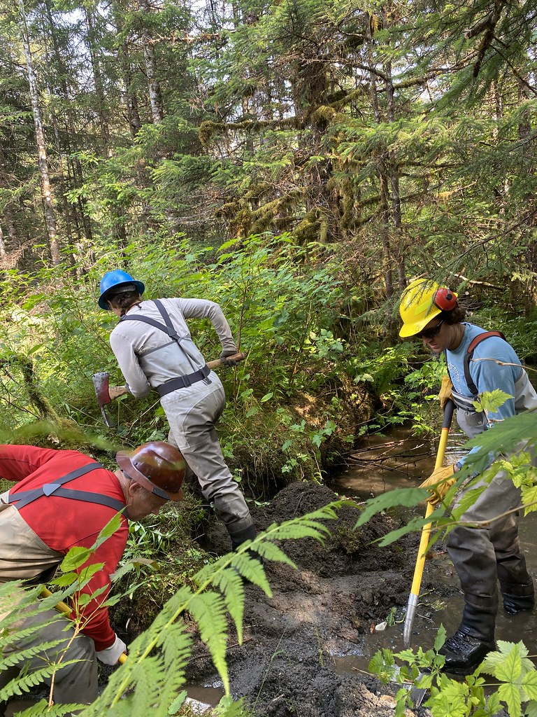 IMG_1808 Khrystl Brouillette Flickr