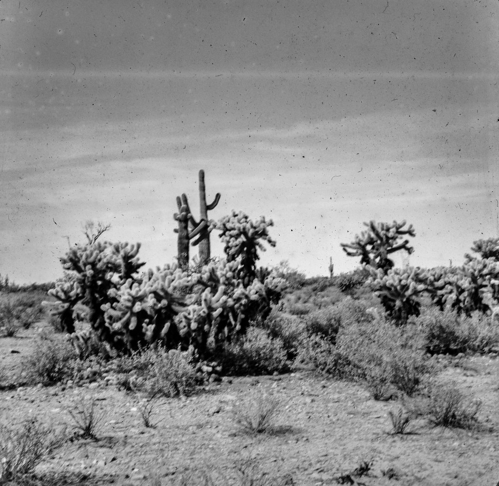 Found Slide from a collection of glass slides of the Ameri… Flickr