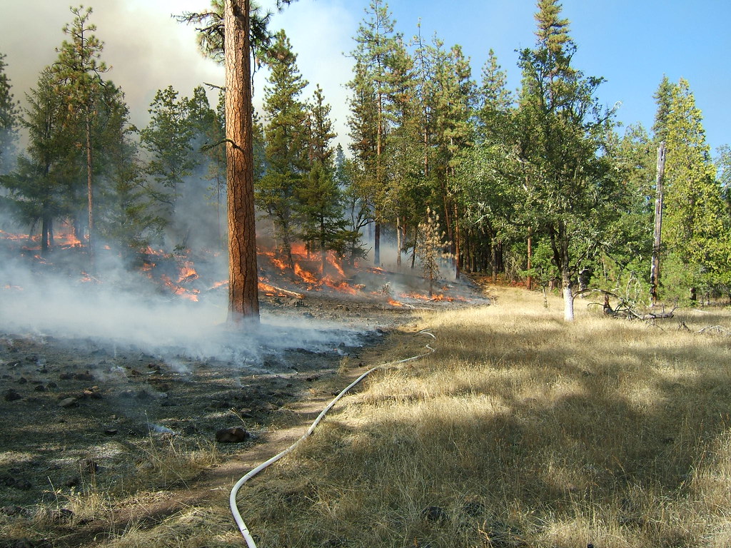 Prescribed Fire on BLMmanaged Public Lands Photo by BLM Bureau of