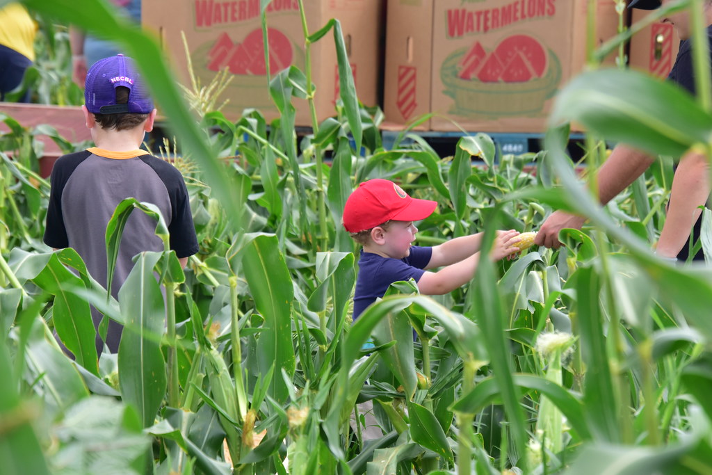 First_Fruits_Farm_8_5_2023(260) Towson University Alumni Flickr