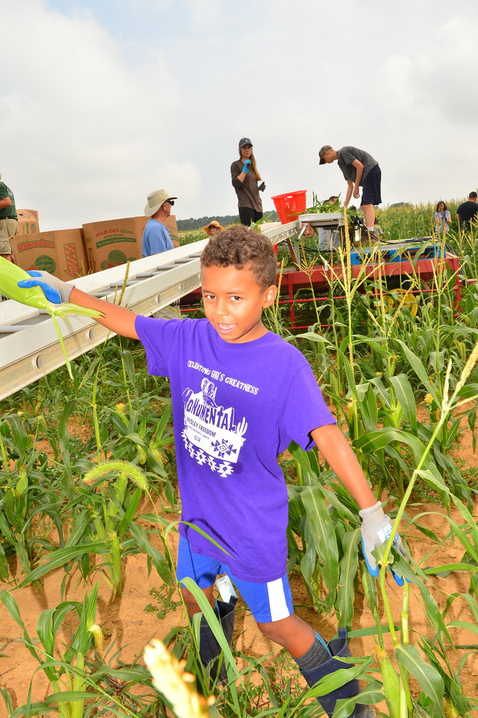 First_Fruits_Farm_8_5_2023(154) Towson University Alumni Flickr