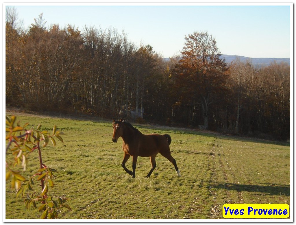 04 Redortiers Les bergeries du Contadour 9 novembre … Flickr