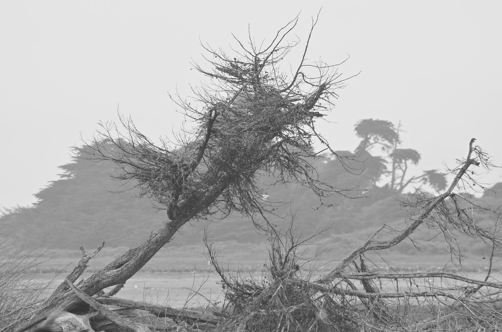 20230805 Moss Landing Flickr