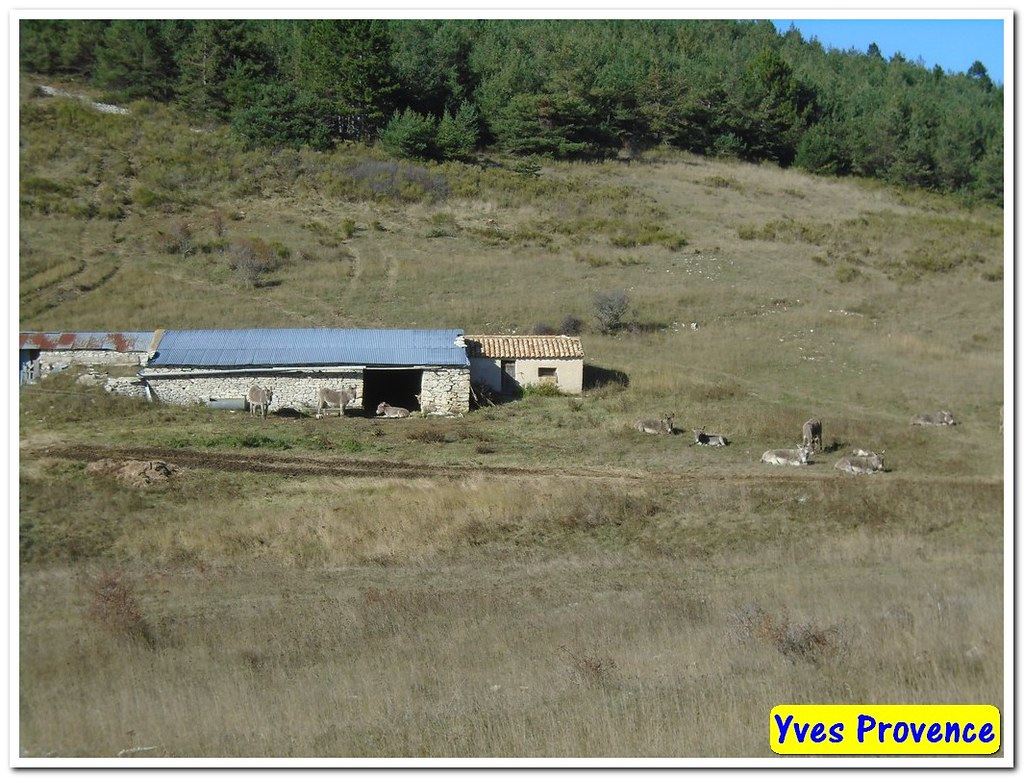 04 Redortiers Les bergeries du Contadour 9 novembre … Flickr