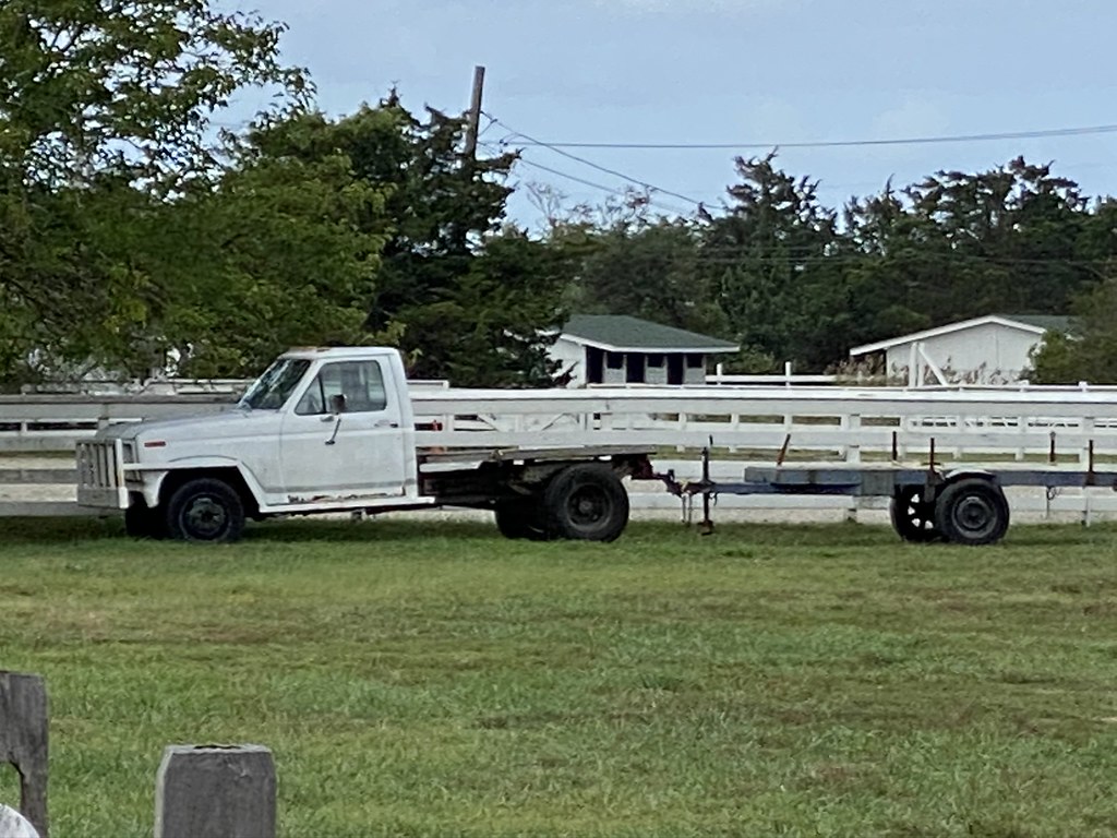 IMG_0344 Suffolk County Horse Farm Park and Preserve 91… Flickr