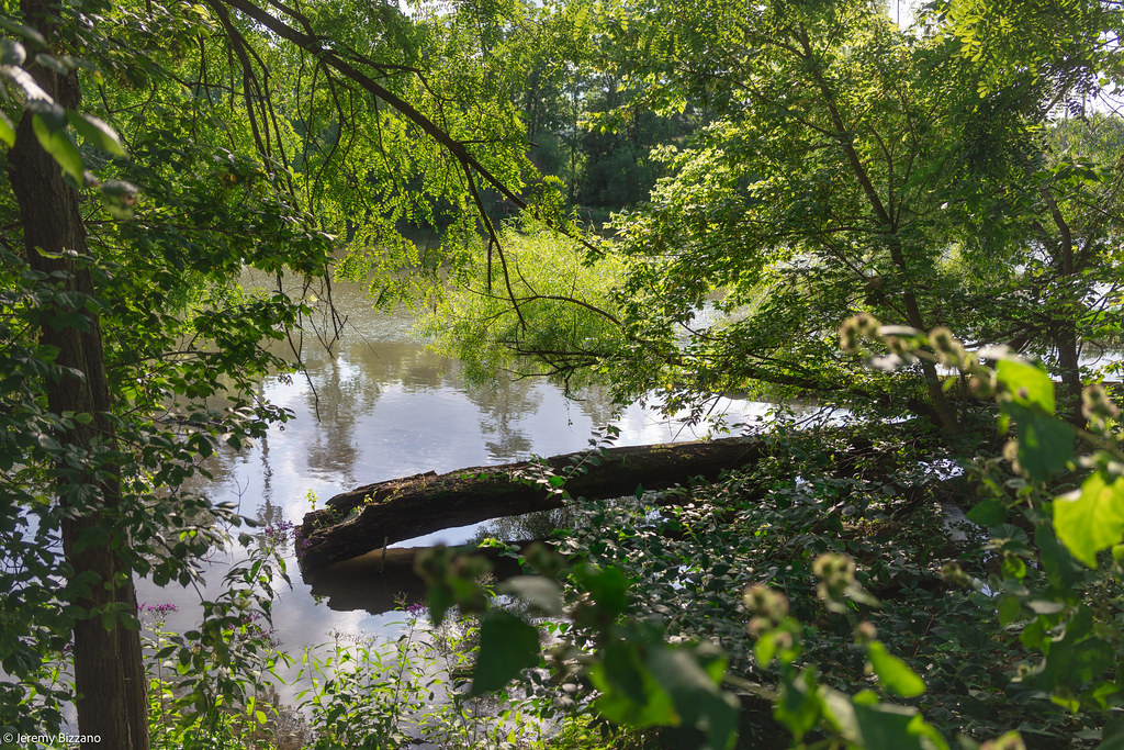 Alum Creek Park North Westerville, Ohio RF 28mm F/2.8 … Flickr