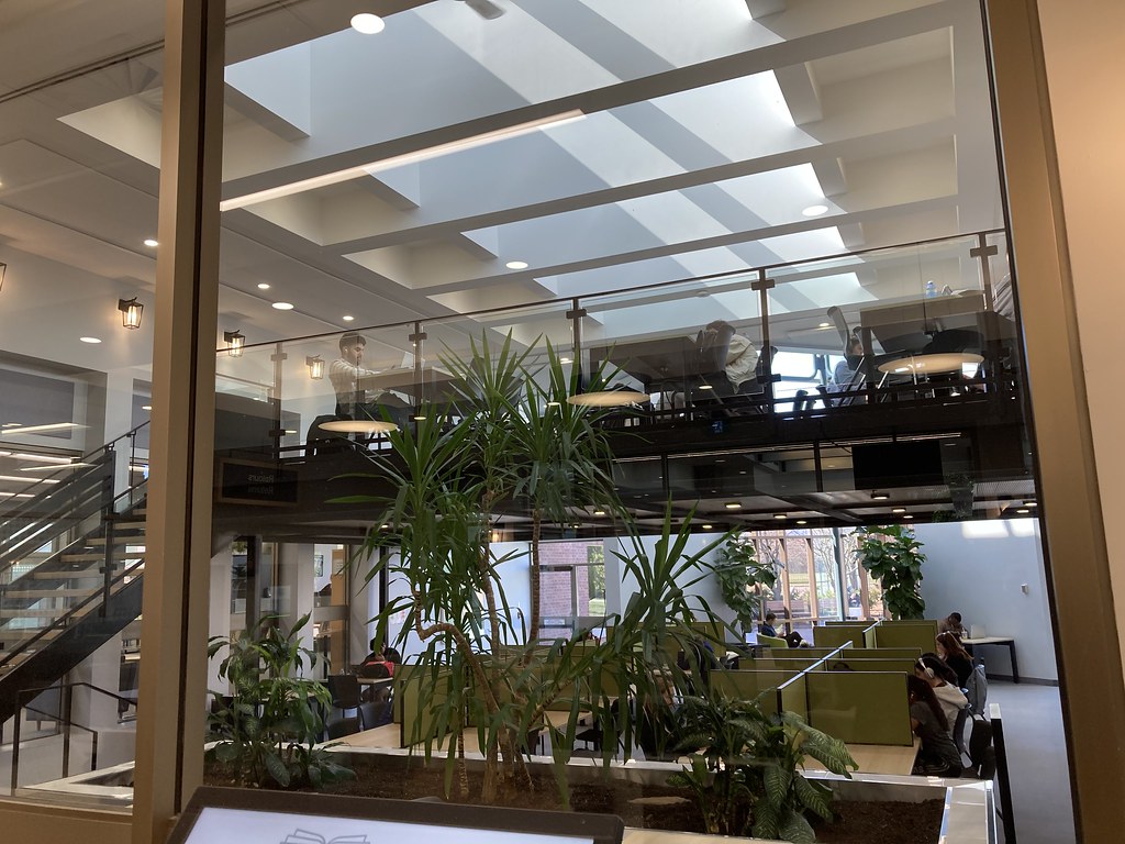 Plantes Bibliothèque publique de DollarddesOrmeaux D… Flickr