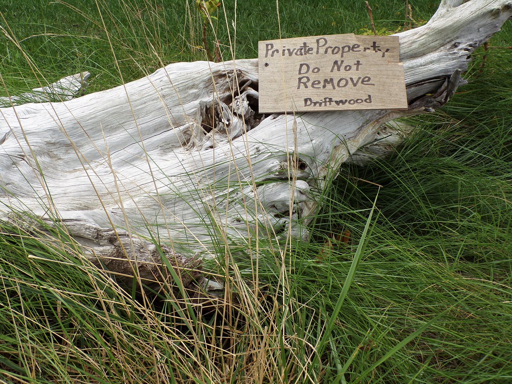 Public Beach Vs Private Home Tyaskin. Maryland Howard Dickerson