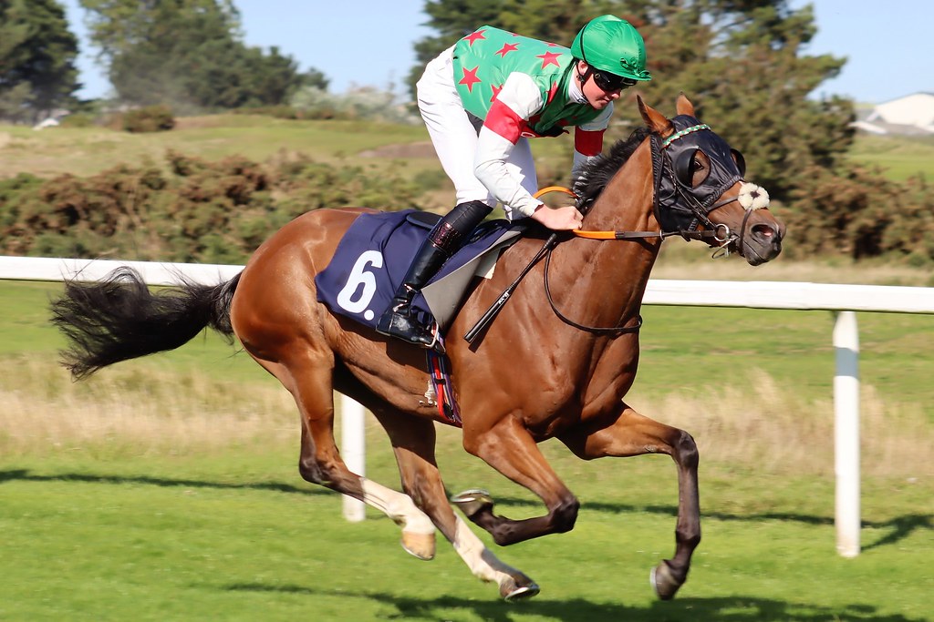 Brandon Wilkie on Little Tiger Brandon Wilkie in the colou… Flickr