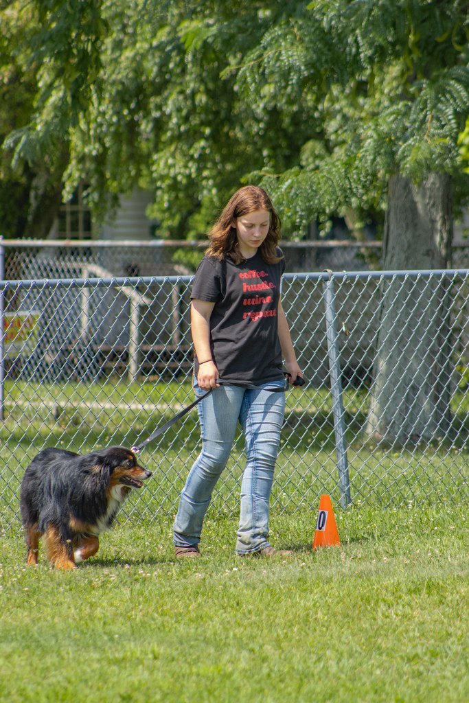 2023 Newaygo 4H Dog Show 4712 Patrick Morrison Flickr