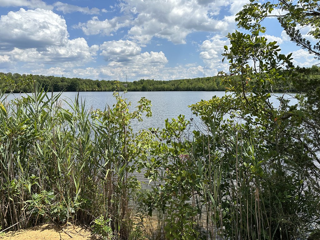 Audubon Plainsboro Preserve NJ TimeOfGritty Flickr