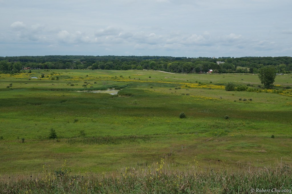 Egret fishing in Nippersink Creek (from Camelback Glacial … Flickr