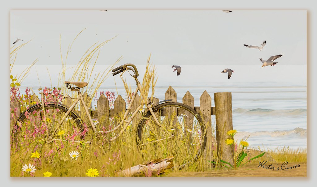 Pedals & Petals🌼🚲 On display at Hector's Canvas in SL Sh… Flickr