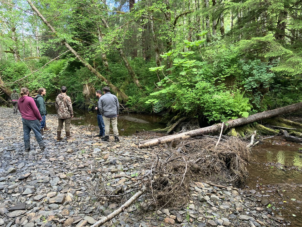 IMG_0925 Khrystl Brouillette Flickr