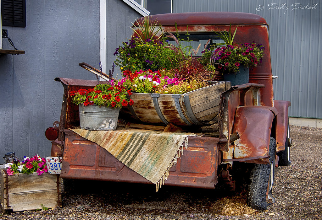 Cut Bank Montana (1) Pattysphotos Flickr