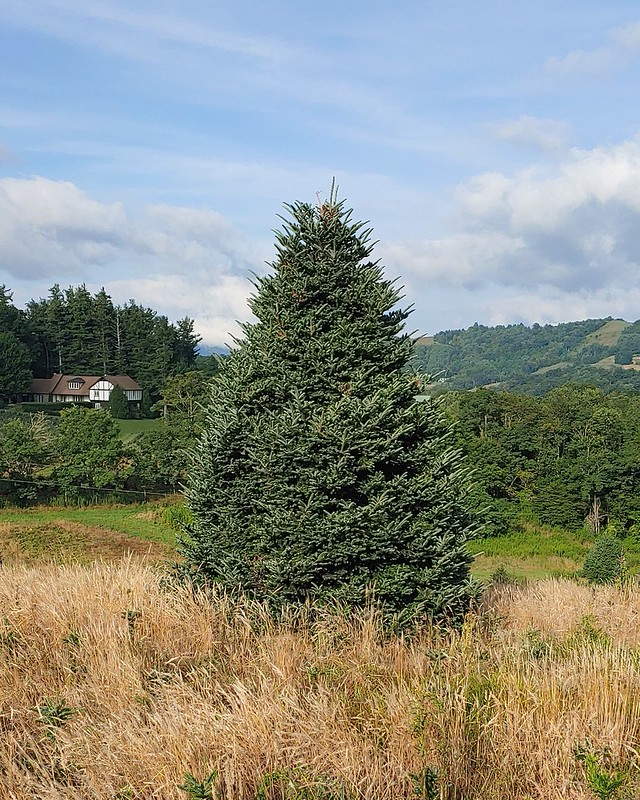 Appalachian Farms 2023 Flickr