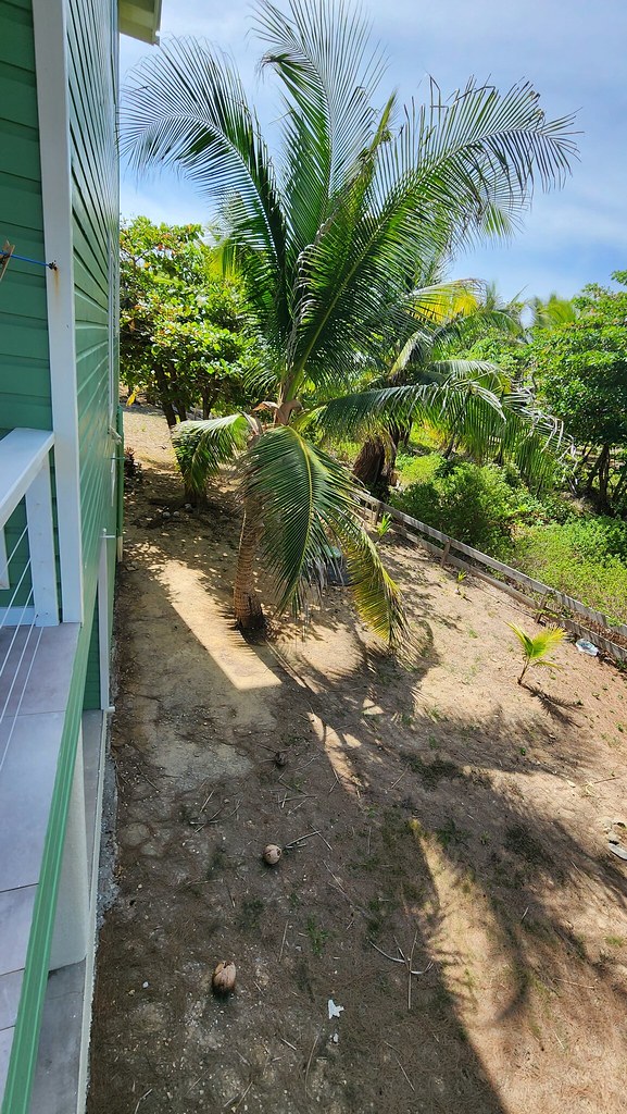 Utila Tradewinds House Mehdi Hasan Flickr