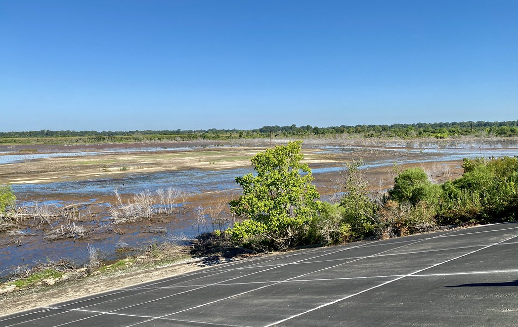 W. Irene Rd. impoundments Habitat shot for eBird list Flickr