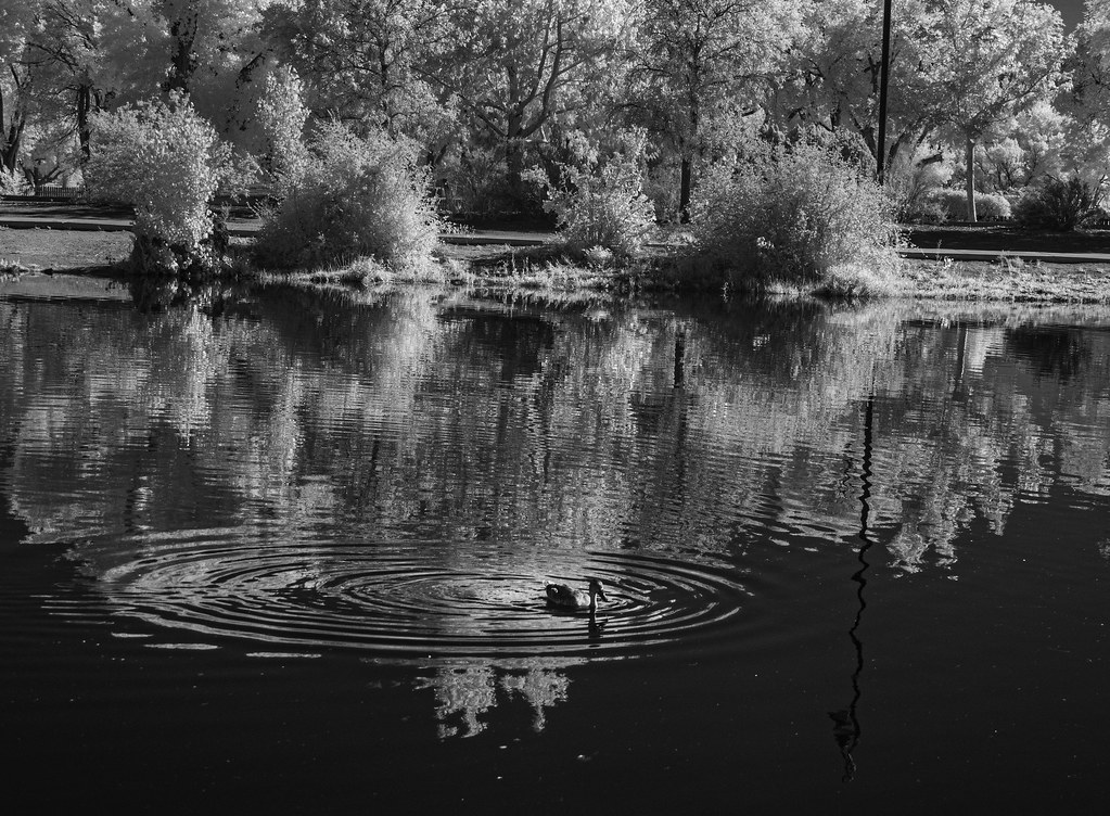 Tingley Tingley IR Nan Huntington Flickr