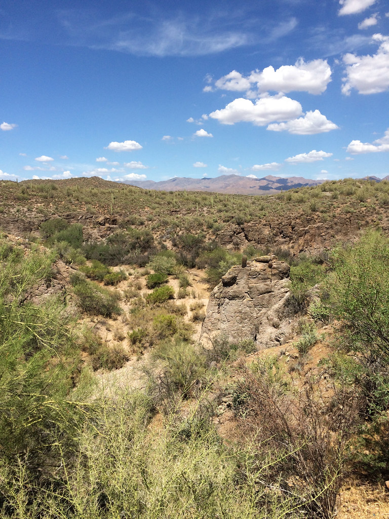 IMG_8542 Desert Foothills Land Trust Flickr