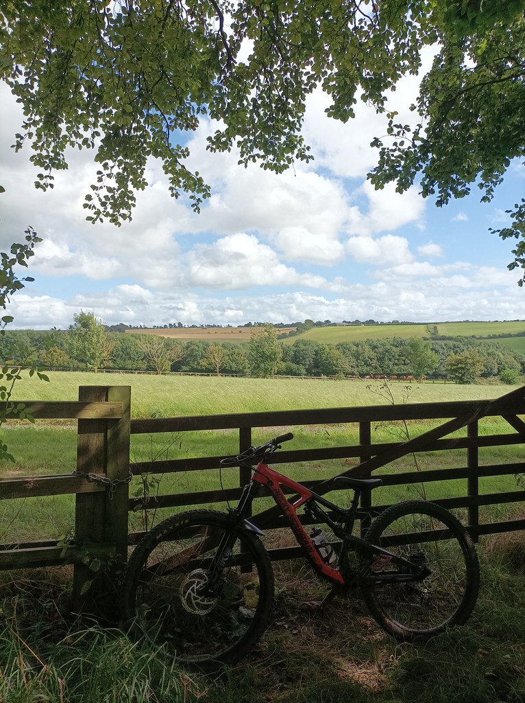 IMG_20230819_154533 Steve Weeks Flickr