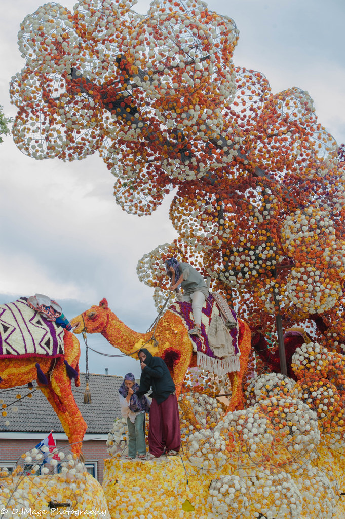 Flower Presentation Sint Jansklooster Flickr