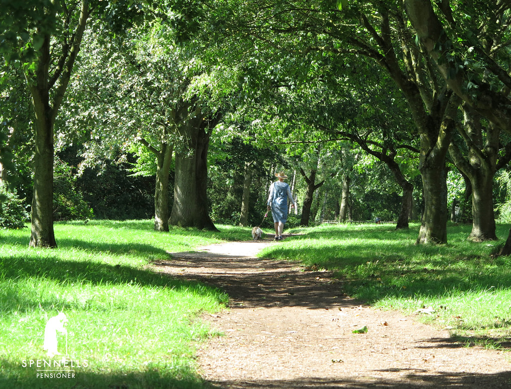 Summer stroll Spennells, Kidderminster Dave Williams Flickr