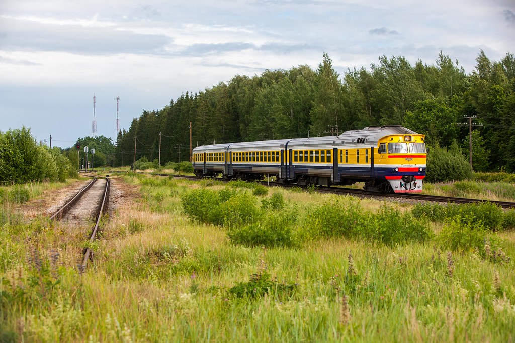 _80H0893 Dani K Flickr