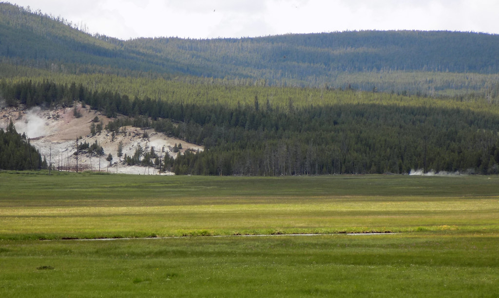 Gibbon Meadow Geyser erupting & Sylvan Springs Group (14 June 2023) a